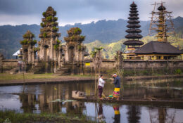 Indonesia 2026 (11/70)